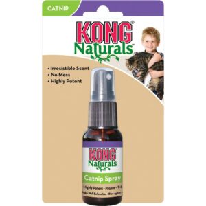 Kong Catnip Spray...jpg